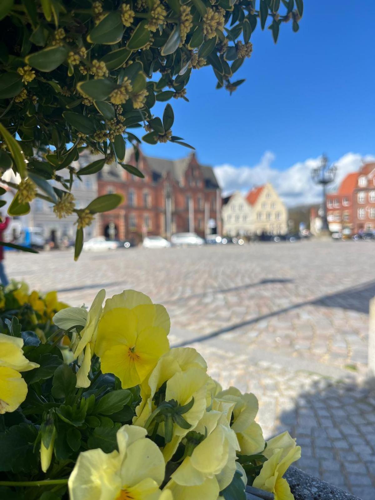 Lykkefund - Ferienwohnungen In Hafennaehe Glückstadt エクステリア 写真